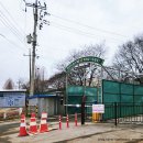 겨울 끝자락 아이들과 함께한 고양 서삼릉 산책 역사와 자연 속 힐링 시간