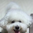 고척재미난 이미지