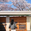 가자경주투어 | 경주 벚꽃시즌 1박 2일 여행 코스 & 맛집 먹거리 추천