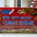 삼성개봉판매장 | [키움북스] 쿵쿵 살아숨쉬는 대륙의 공룡들