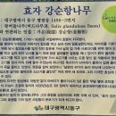 영산신씨정려각 | 대구올레 팔공산 4코스(3차)