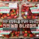 신선마트 | 천안 농협 하나로마트 로컬푸드 장보기 후기 신선함이 남달라