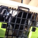 백일켄넬 이미지