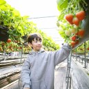 경주농장 제2농장 이미지