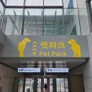 공원펫 | 김포공항 가볼만한곳 볼거리 놀거리 추천, 반려견 놀이터 놀이공원 펫파크 후기
