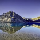 자연의 꿈 이미지