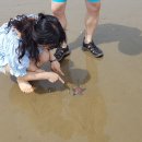 레이크앤씨빌리지 이미지