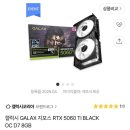 천지동물병원 | 반려동물 입양의 탈을 쓴 펫샵 후기