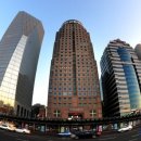 개미통신 이미지