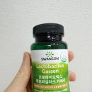 다이어트유산균 추천 스완슨 프로바이오틱스 락토바실러스 가세리 30억 CFU