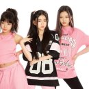 비비게러지 이미지