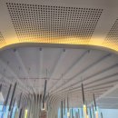 나무 조형물 티스토리