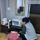 월오포레스트 이미지