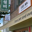 골든베니 | [베니 일상 기록]벌써 10월! 베니의 첫째 주 엿보기