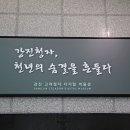 고려청자 디지털박물관 이미지