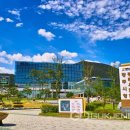 역사문화체험지도사 이미지