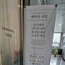 에바다네일 네이버블로그