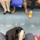 플랜비 민박 | [제주/애월] 여자 혼자 떠난 뚜벅이 1박 2일 제주 여행기 (플랜비 1인 게스트하우스 내돈내산 추천)