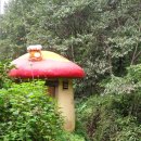 금동농장 이미지