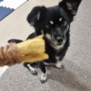 멍씨네편의점 이미지