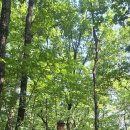 태봉산성지 이미지