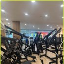 쏘마휘트니스 이미지