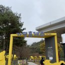 펫스탑 | 여행하는 강아지들의 필수 코스 가평휴게소의 반려견 운동장 펫파크 &amp; 옐로우스탑 방문 후기