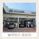 풍호점현대자동차 | 진해 블루핸즈 풍호점 자동차 3년 무상 정기점검 예약필수