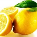 레몬 이미지