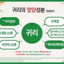 백년건강 - 광산구 비아로 137 | 백년건강