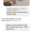 코지독하우스 이미지