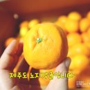 달콤형제농원