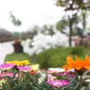 아지랭이어린이공원 이미지