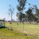 제이제이팜 이미지