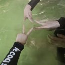 진도실내수영장 | 진도쏠비치 내부시설 인피니티풀 수영장 수영복 준비물 게임장 오락실 레전드히어로즈 가격 내돈내산