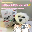 더독샵 | 노령견 사료 추천ㅣ더독 닥터소프트 명작 연어 노령견...기호성 좋은 소프트 사료 사용후기ㅣ가수분해...
