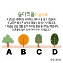 작은나무숲 이미지