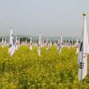 구리 한강시민공원 유채꽃 축제장에서 이미지