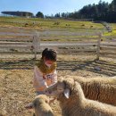 월산목장 이미지