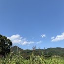 더파머스 이미지