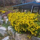 훈 농장 이미지