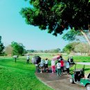 PGCC골프아카데미 이미지