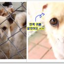 근수농장 이미지