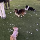 봄앤조이 스테이 이미지