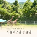월드컵로 30 세븐일레븐 앞 | 아이랑 연휴에 갈만한 곳 고민이라면? 🐘 서울대공원 동물원 다녀온 솔직후기