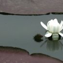 세존산업 이미지