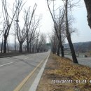 대한적십자사 앞 버스정류장 이미지