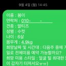 리쌀롱 이미지