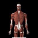 파프리카짐 둔산점 이미지