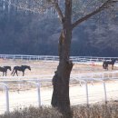 덕양목장2 이미지